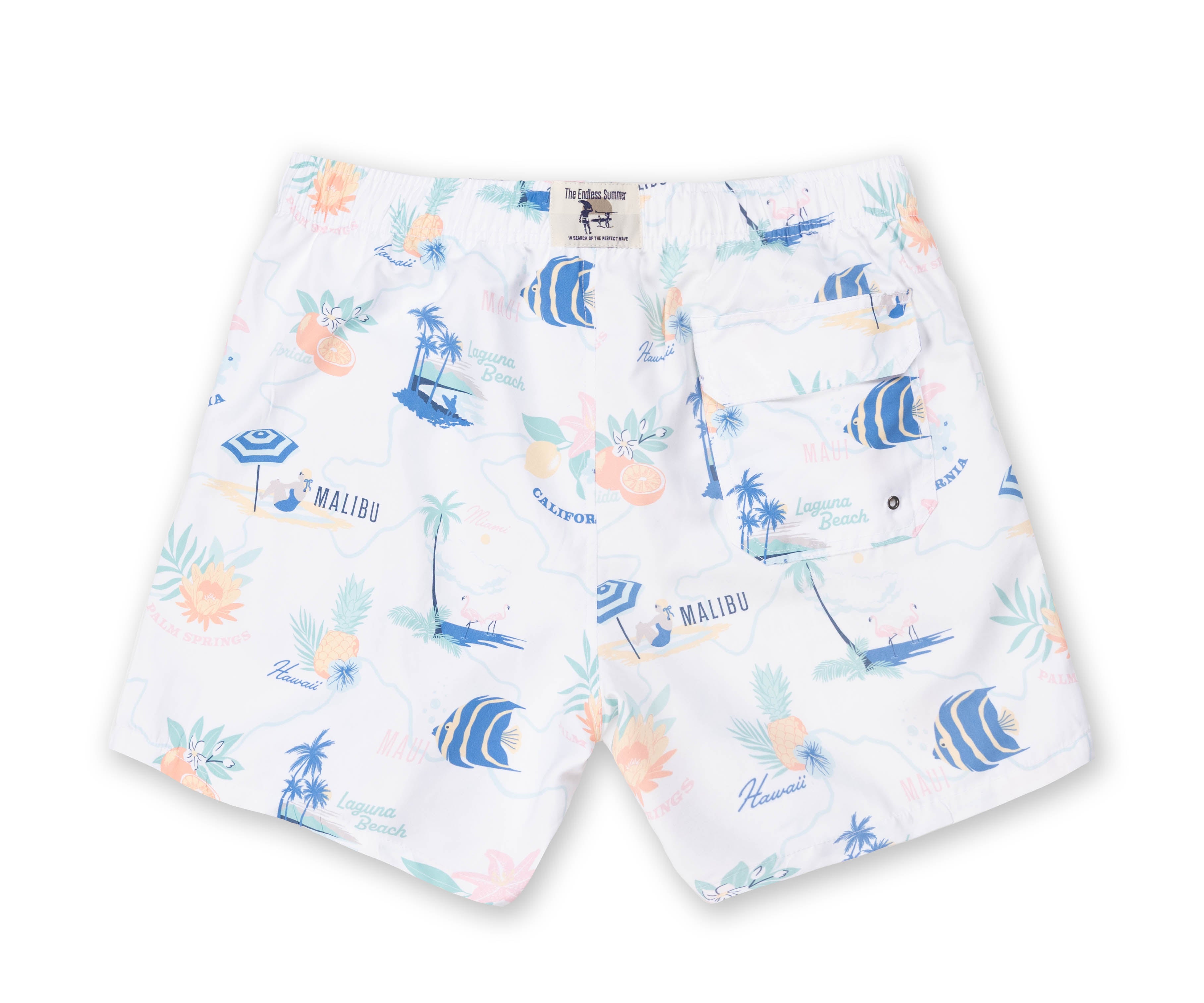 Mens Volley Swim Shorts