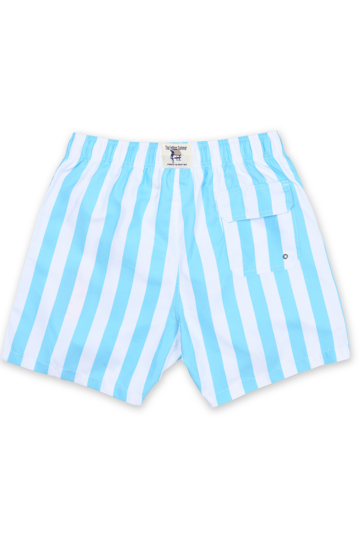 Blue and white striped swim trunks sales